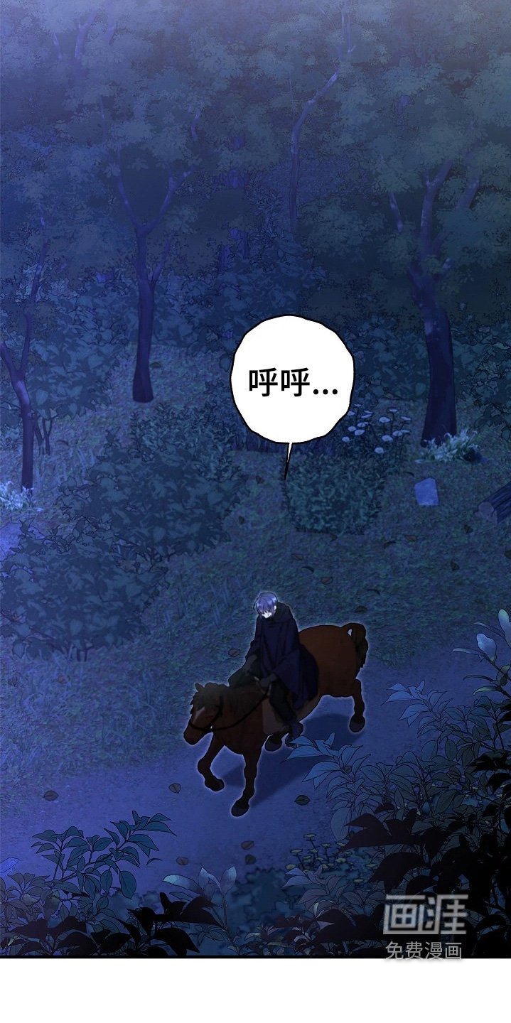 第54章：希望不要失望