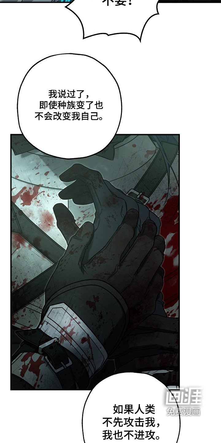 第64章：蜘蛛