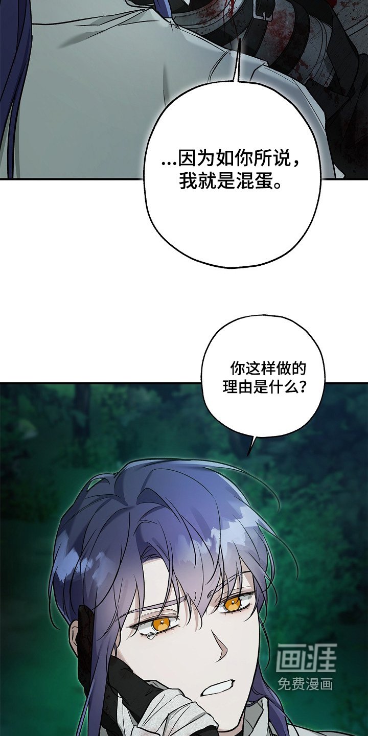 第64章：蜘蛛