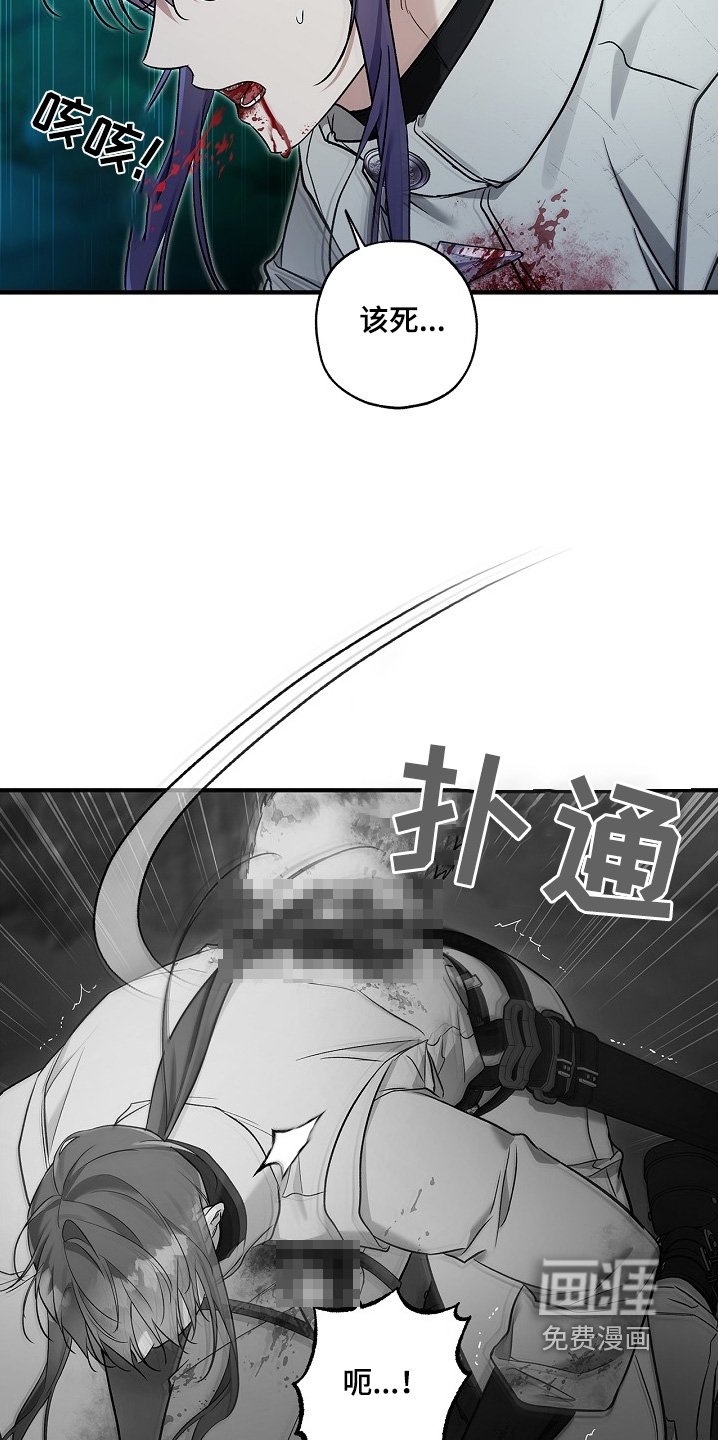 第66章：重创