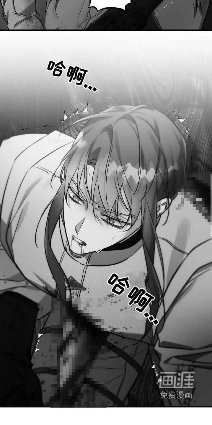 第66章：重创