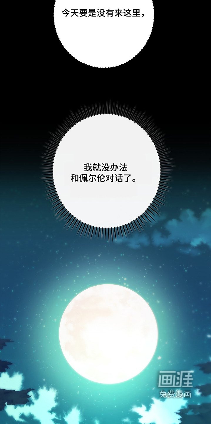 第66章：重创