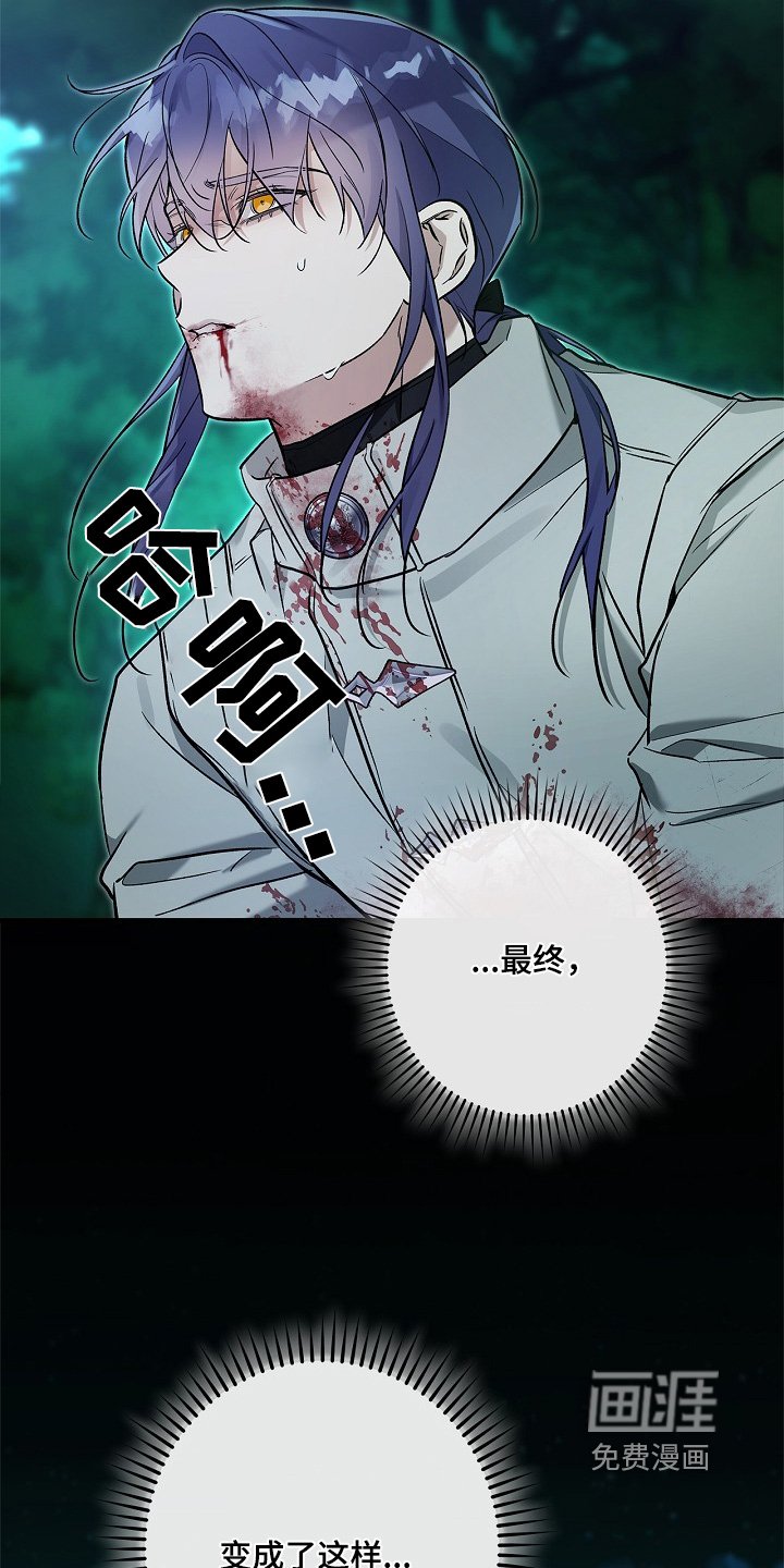 第66章：重创