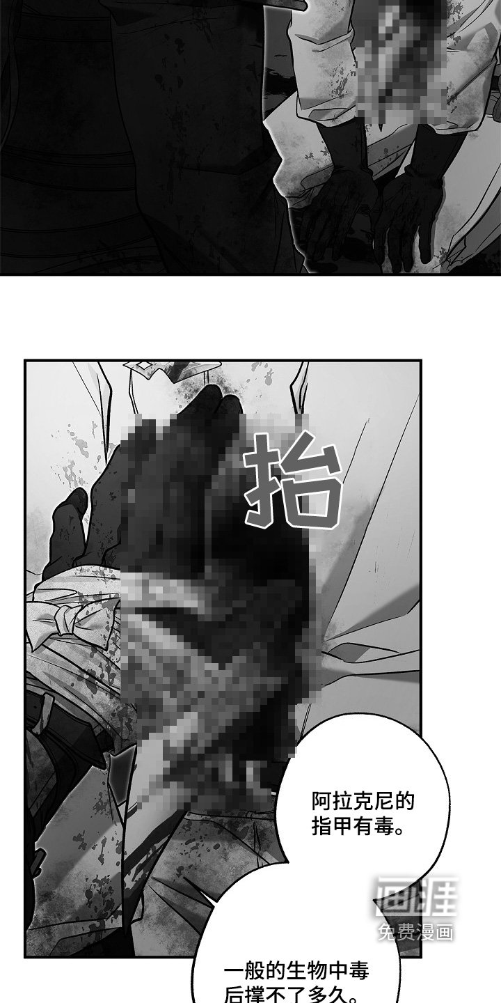 第66章：重创