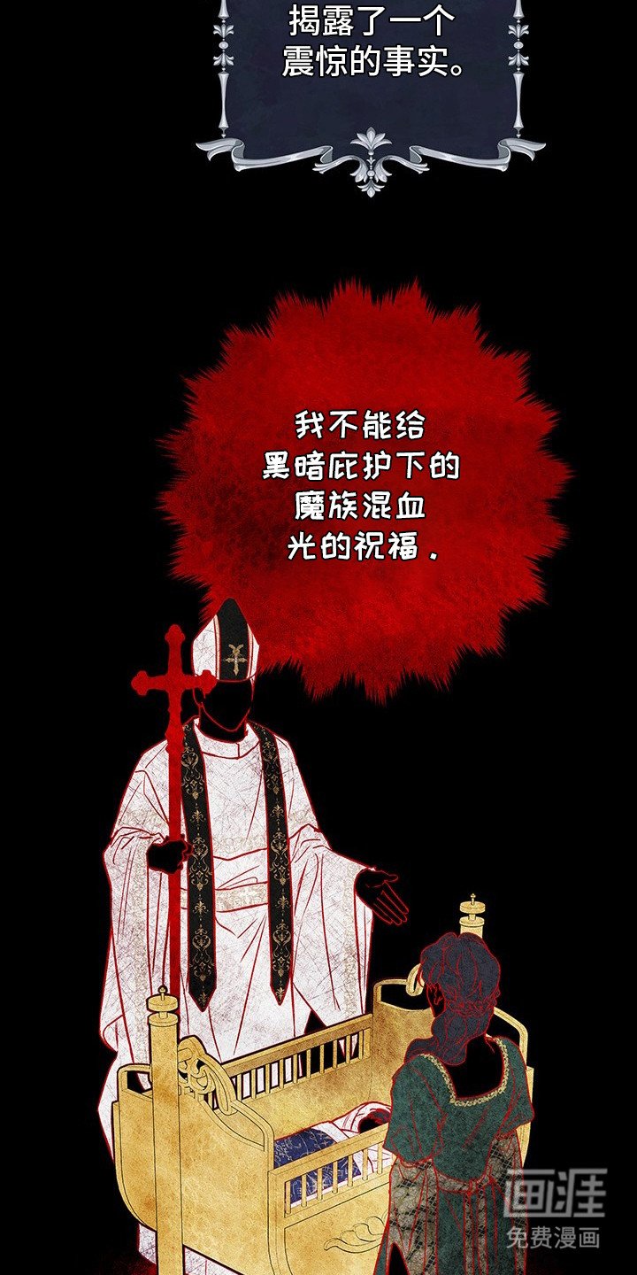 第8章：魔族混血