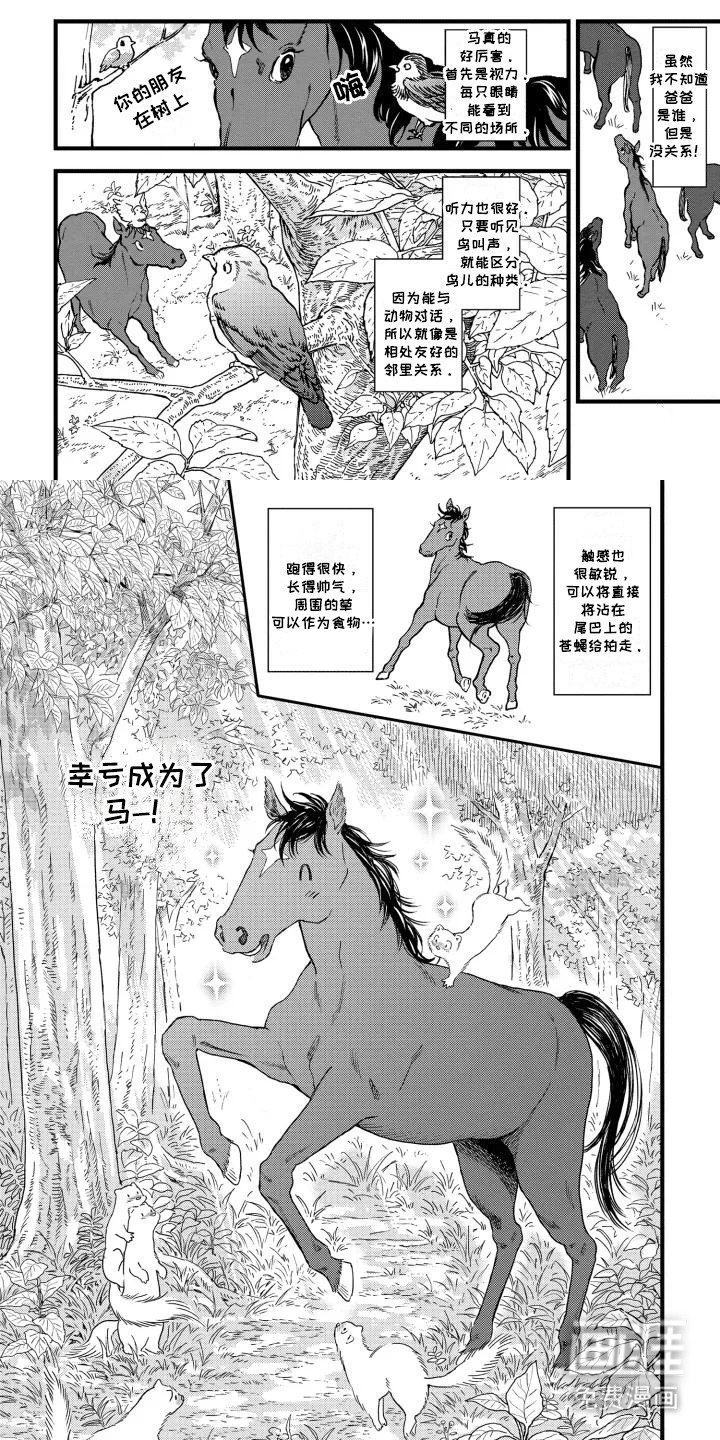 第1章：转世成为马