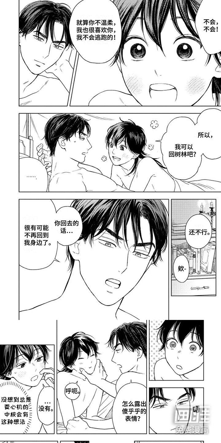 第13章：回家