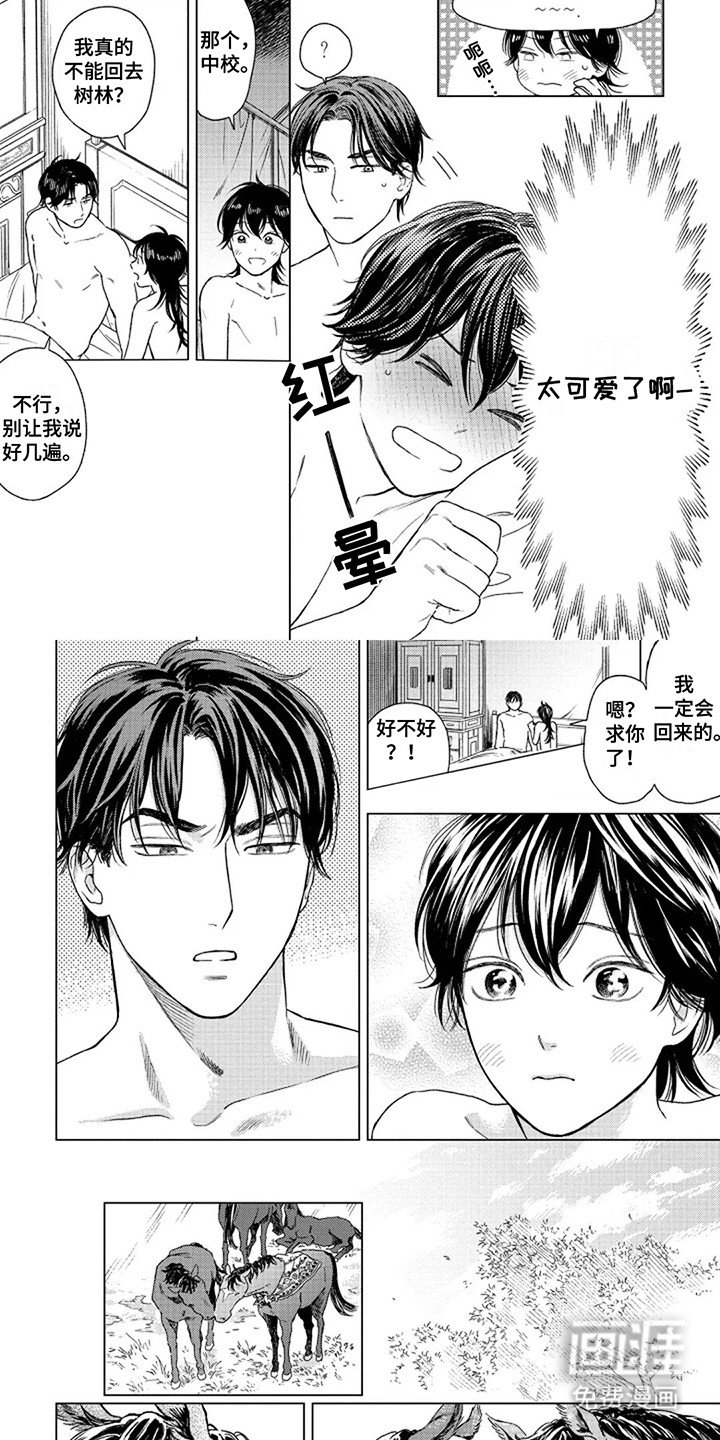 第13章：回家