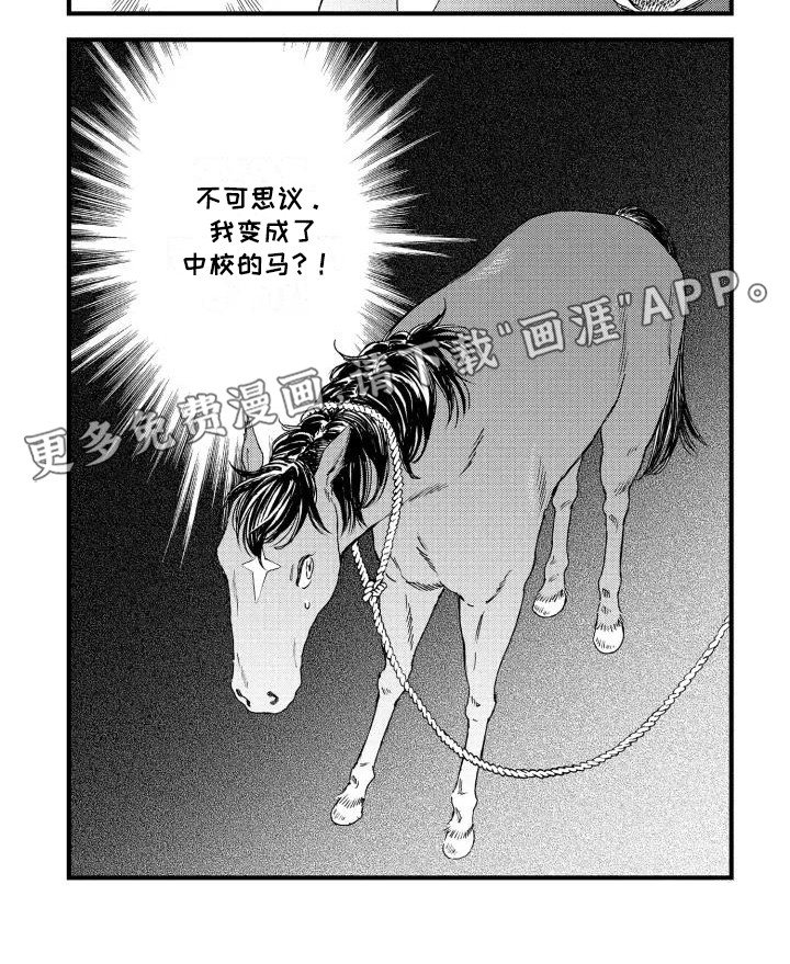第3章：成为战马