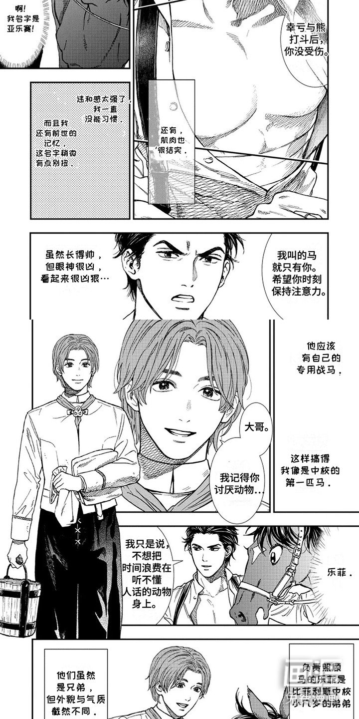 第3章：成为战马