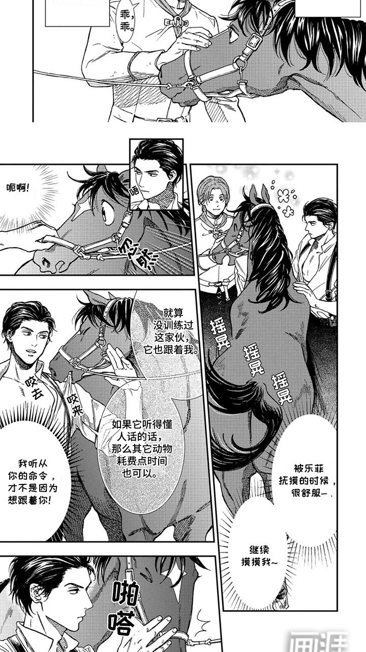 第3章：成为战马