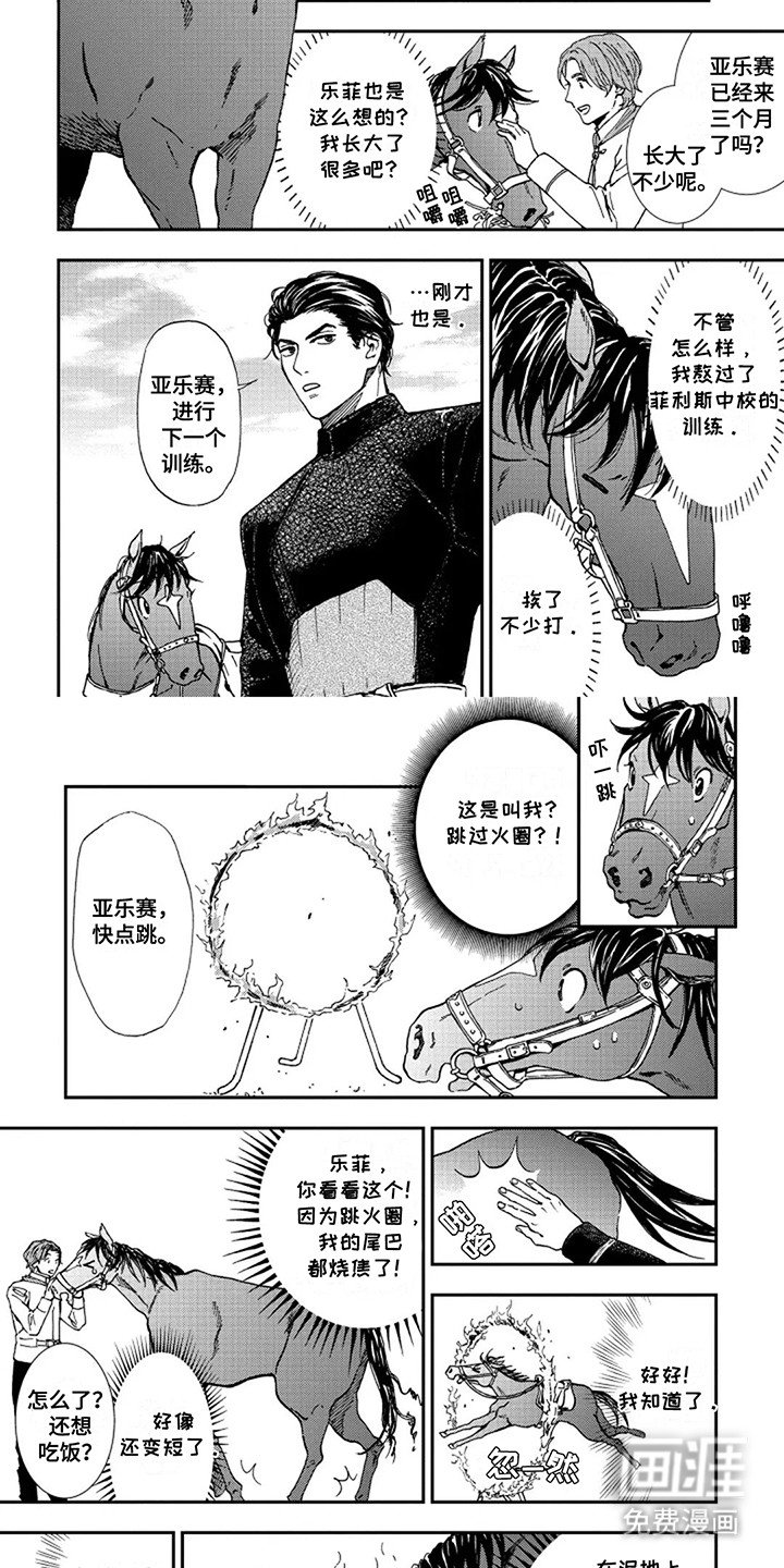 第4章：训练