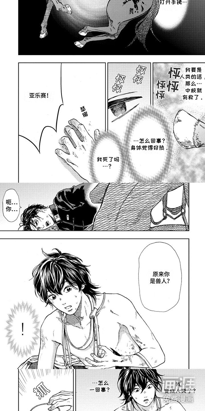 第6章：兽人