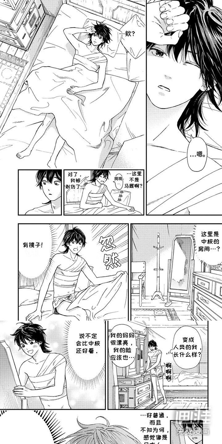 第7章：骑士的爱意