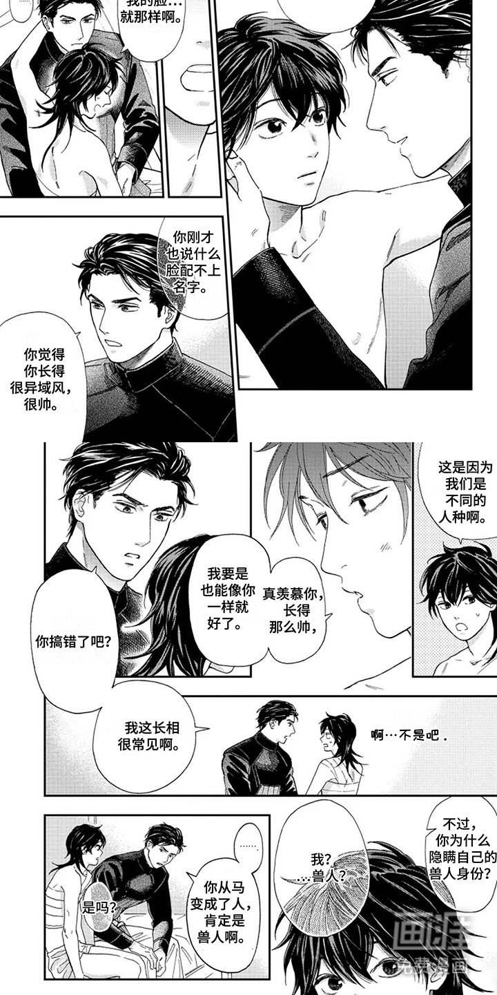 第7章：骑士的爱意