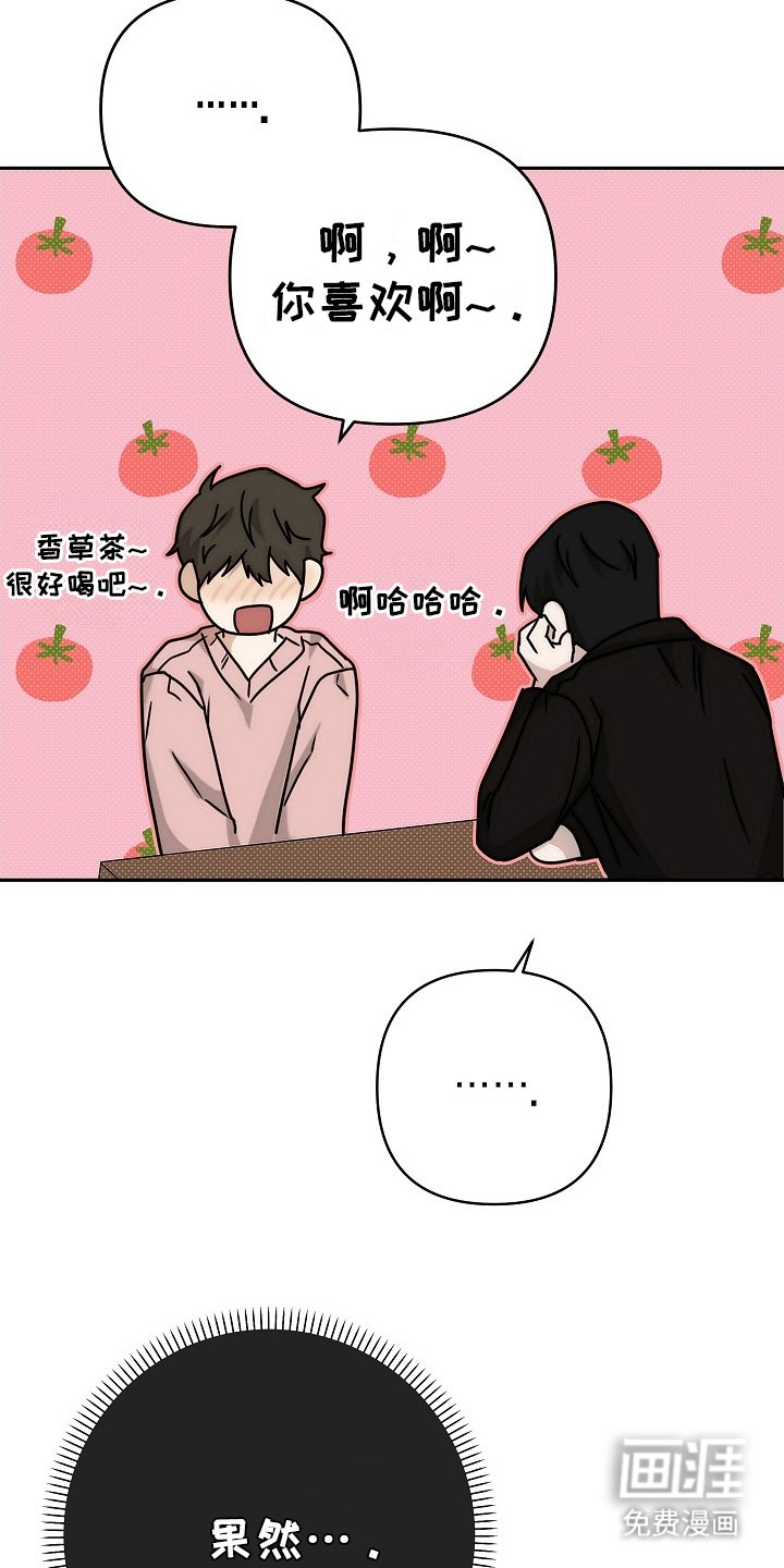 第10章：香草茶