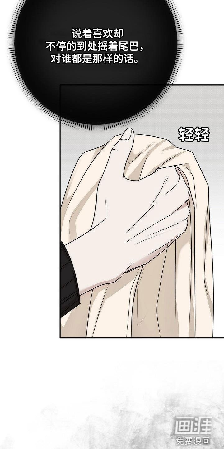 第23章：为什么喜欢我