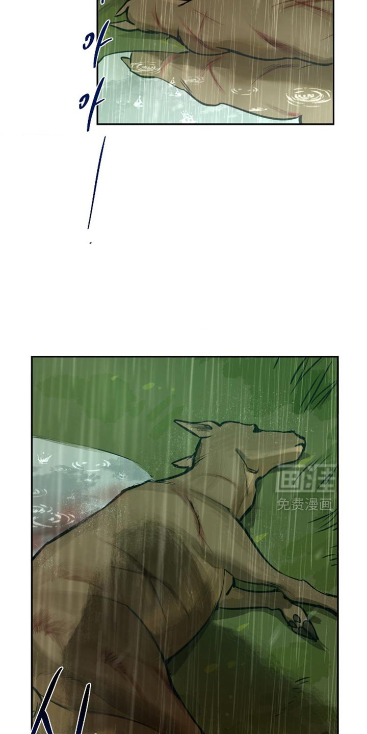 第11章：我来告诉你