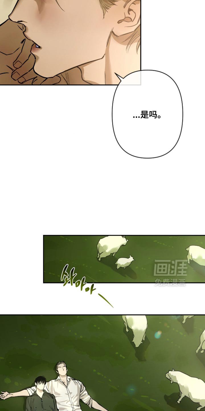 第12章：信赖
