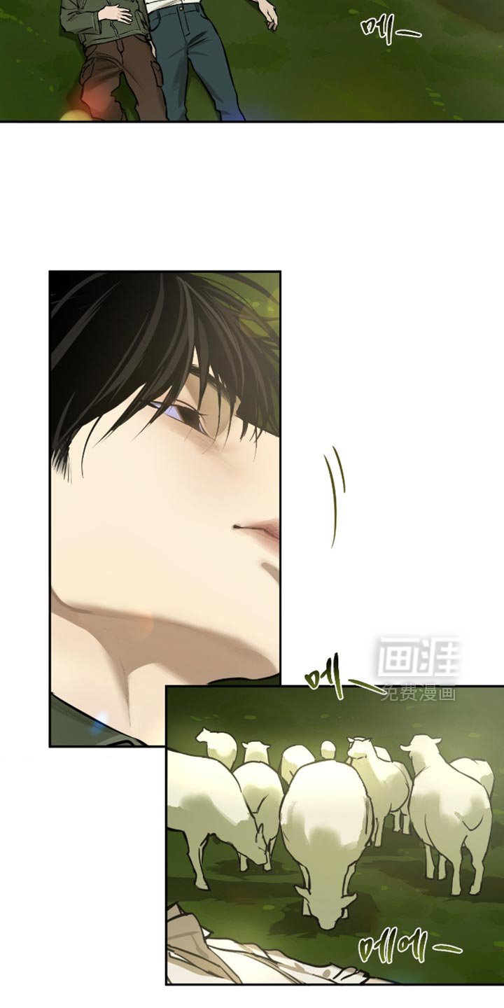 第12章：信赖