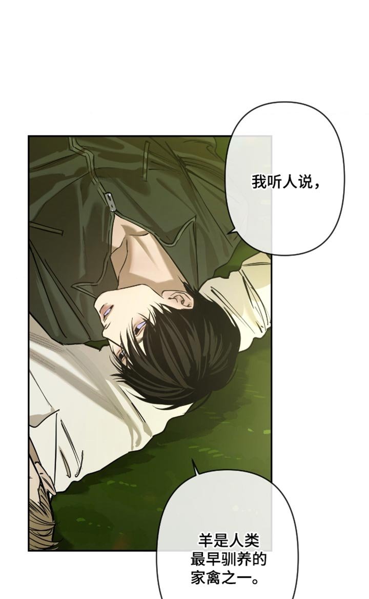 第12章：信赖