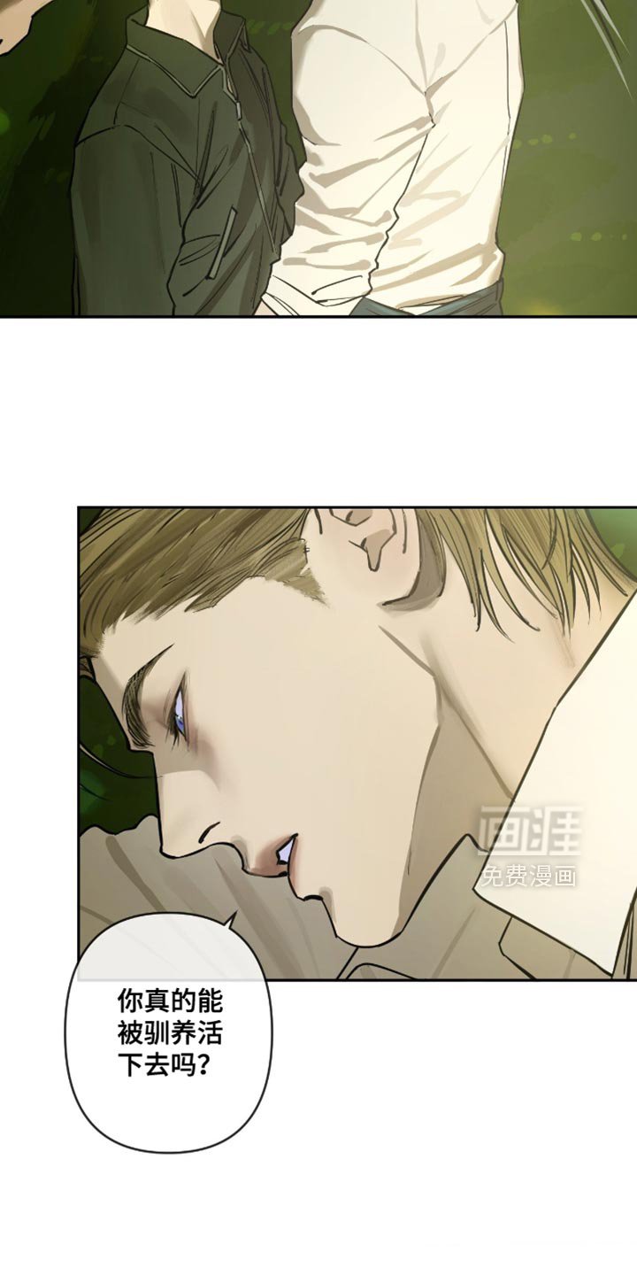 第12章：信赖