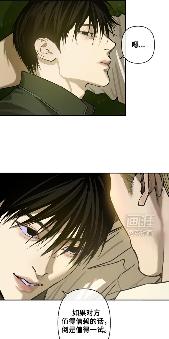 第12章：信赖