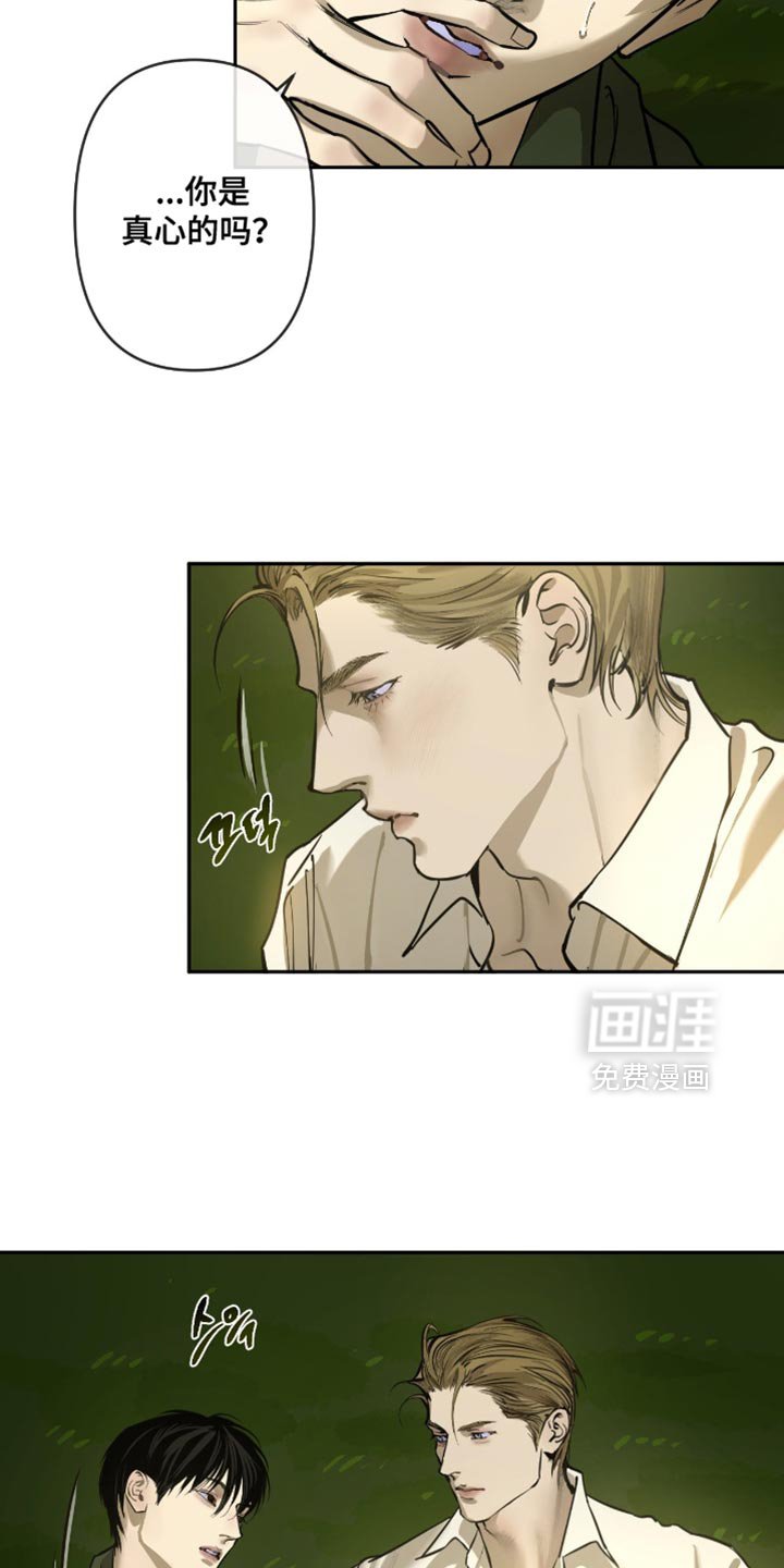 第13章：我有多喜欢你