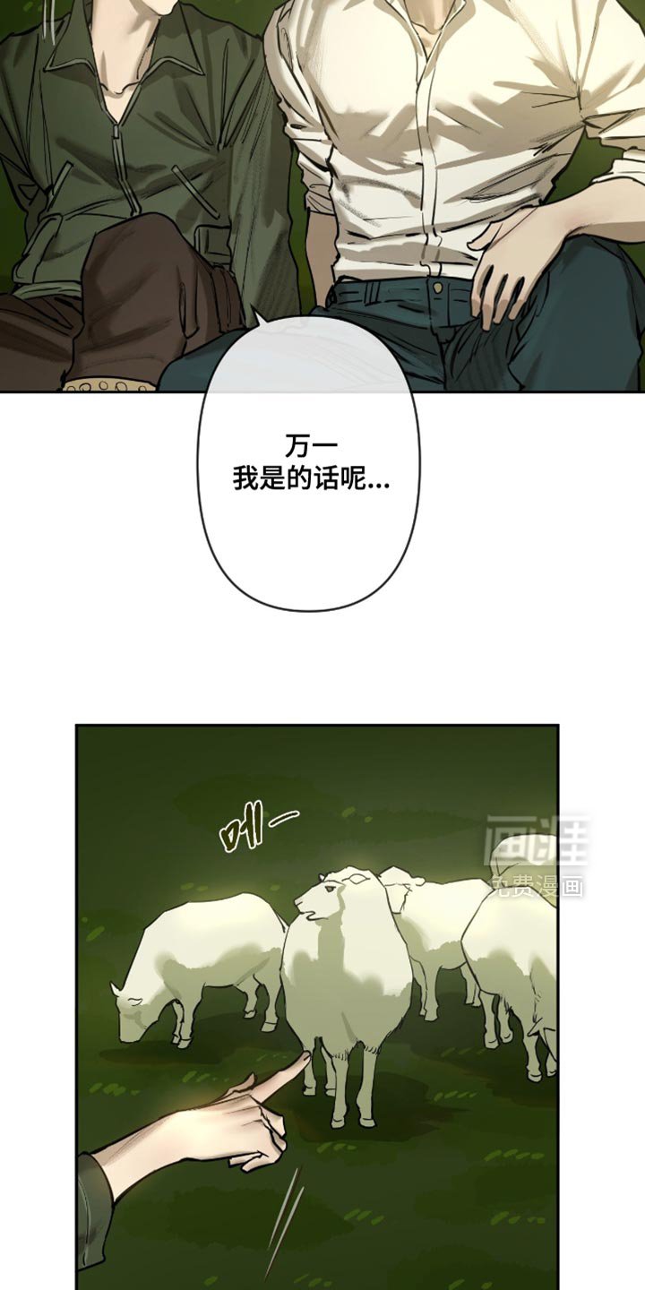 第13章：我有多喜欢你