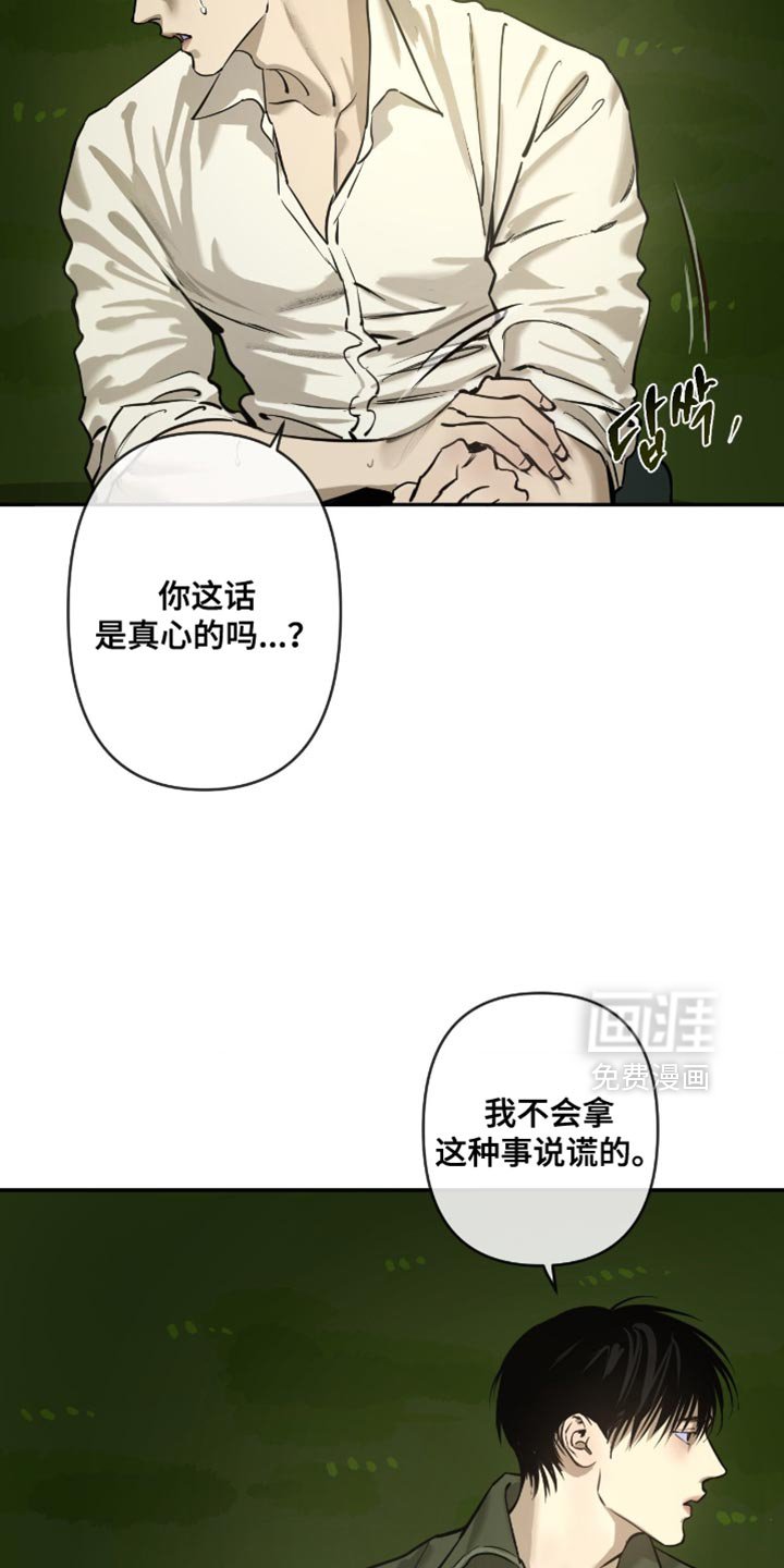 第13章：我有多喜欢你