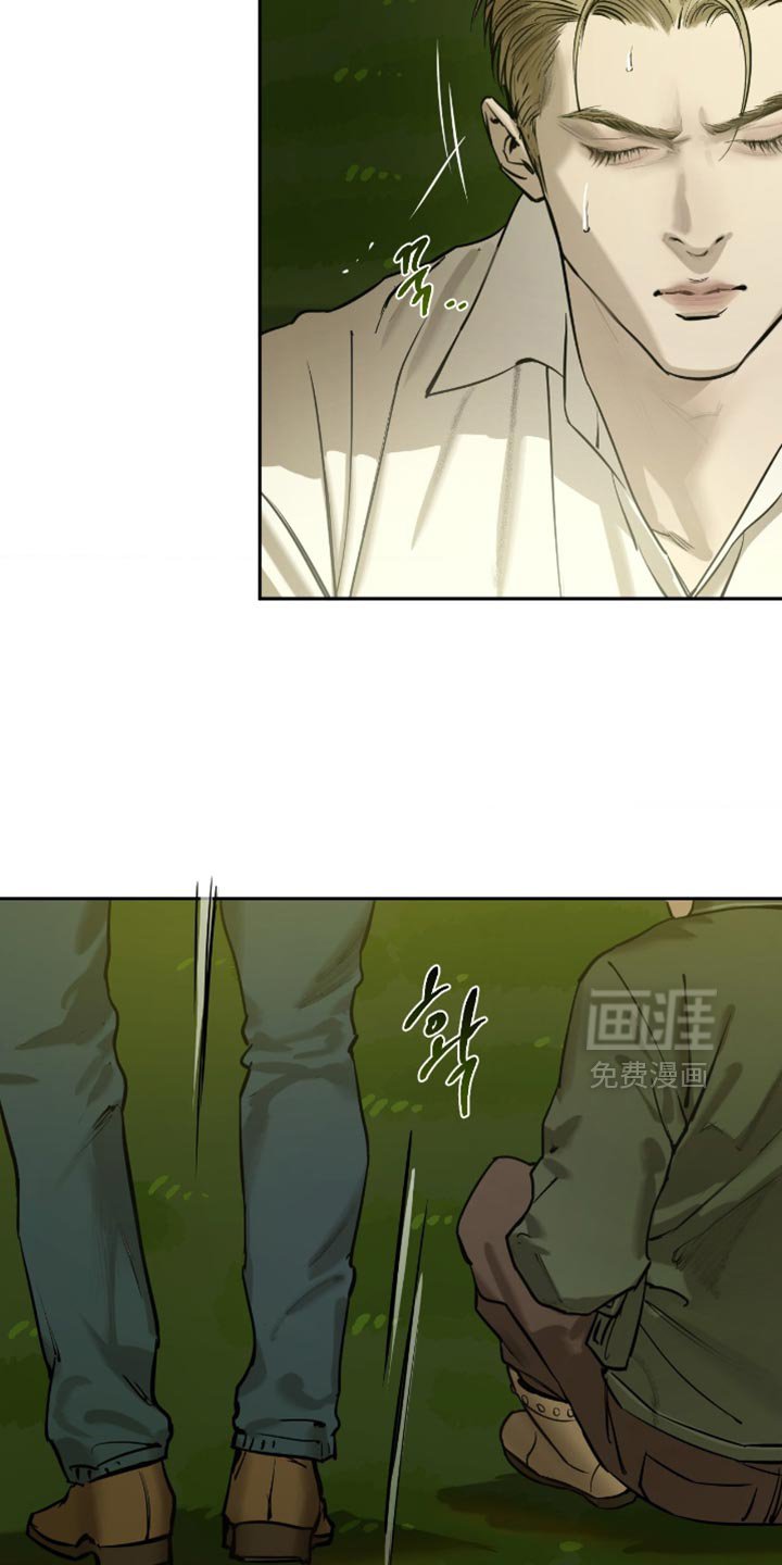 第13章：我有多喜欢你