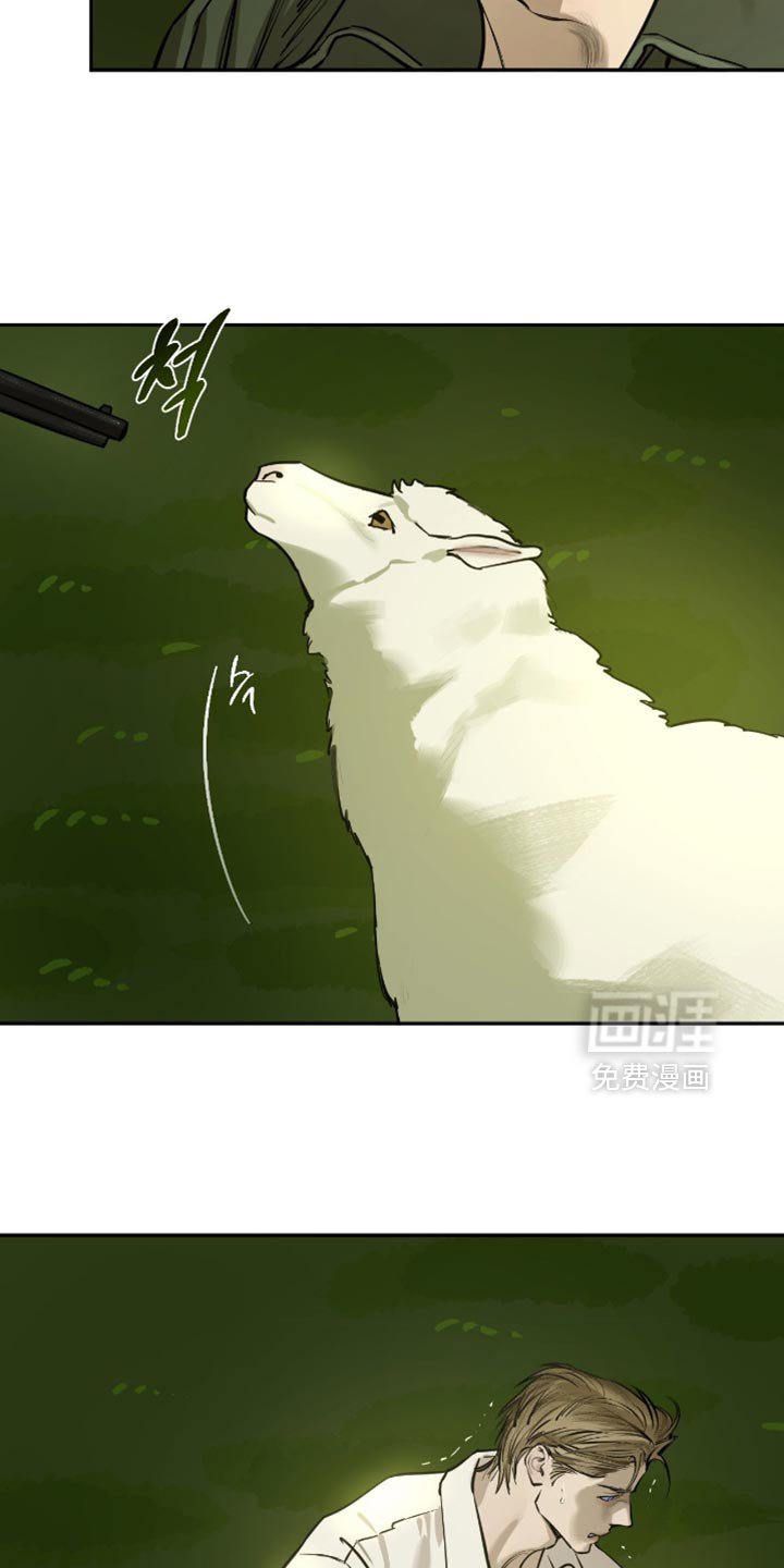 第13章：我有多喜欢你