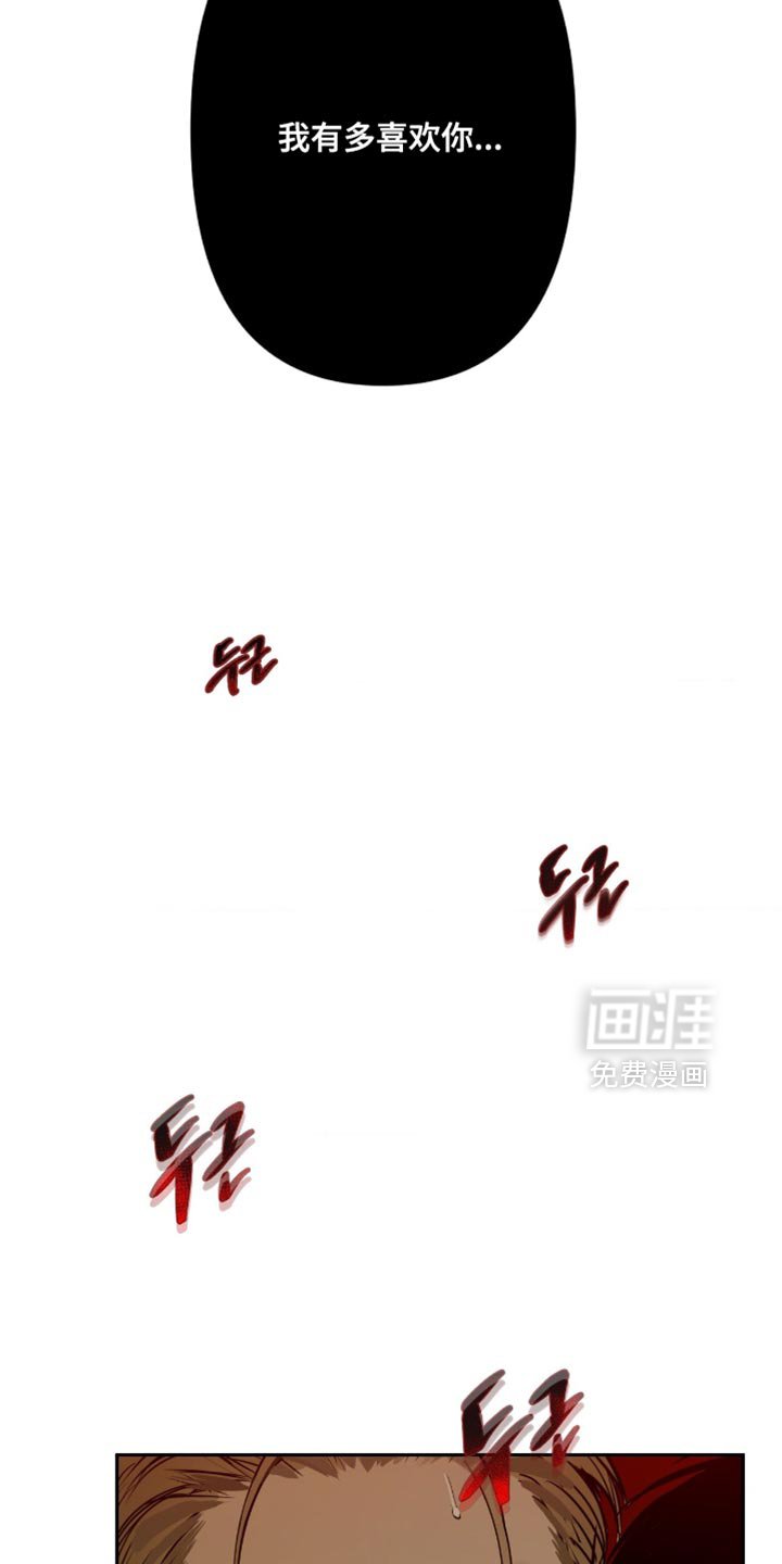 第13章：我有多喜欢你