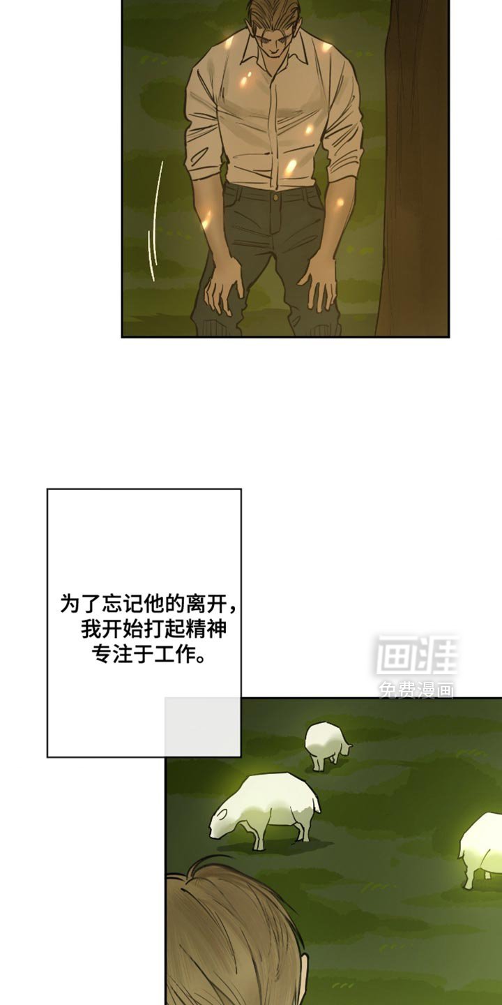第15章：他回来了