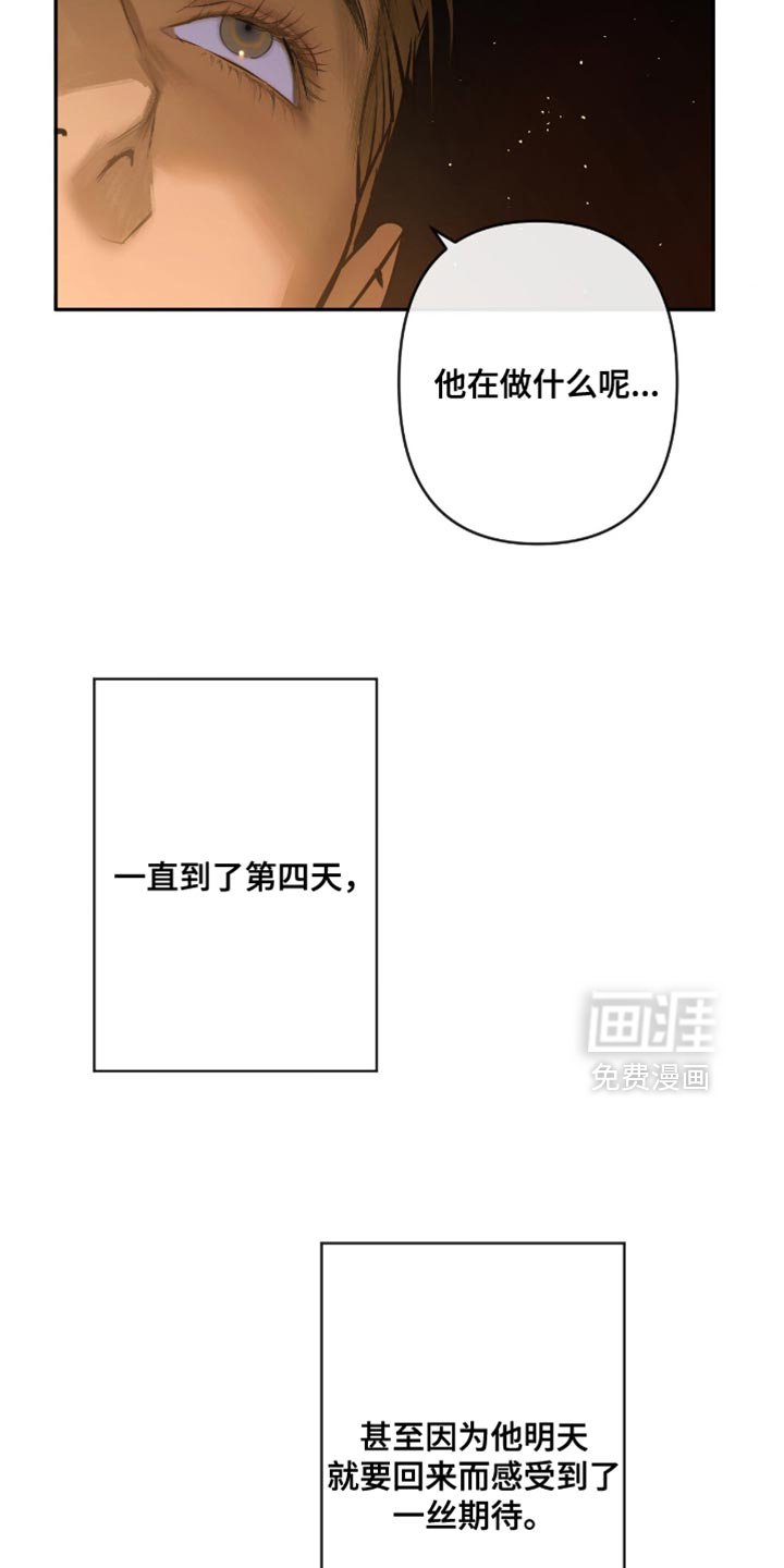 第15章：他回来了