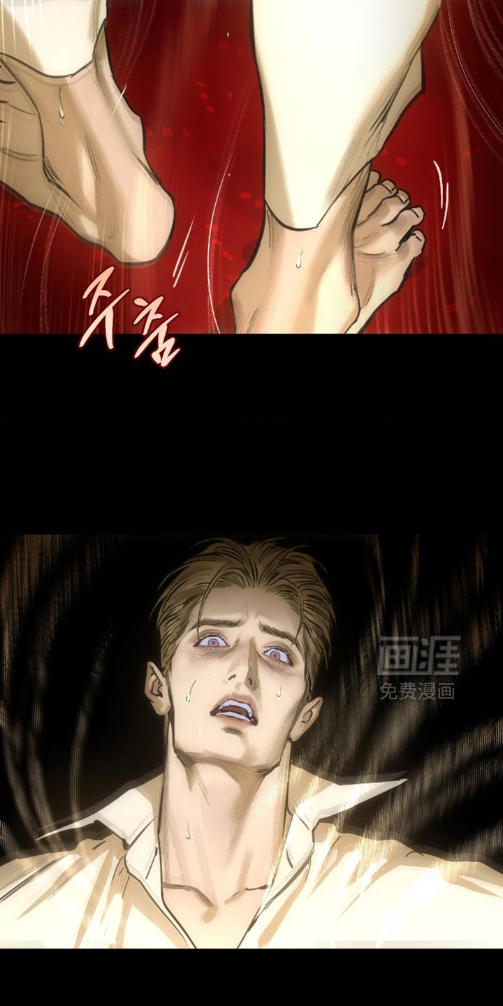 第16章：我想要相信他