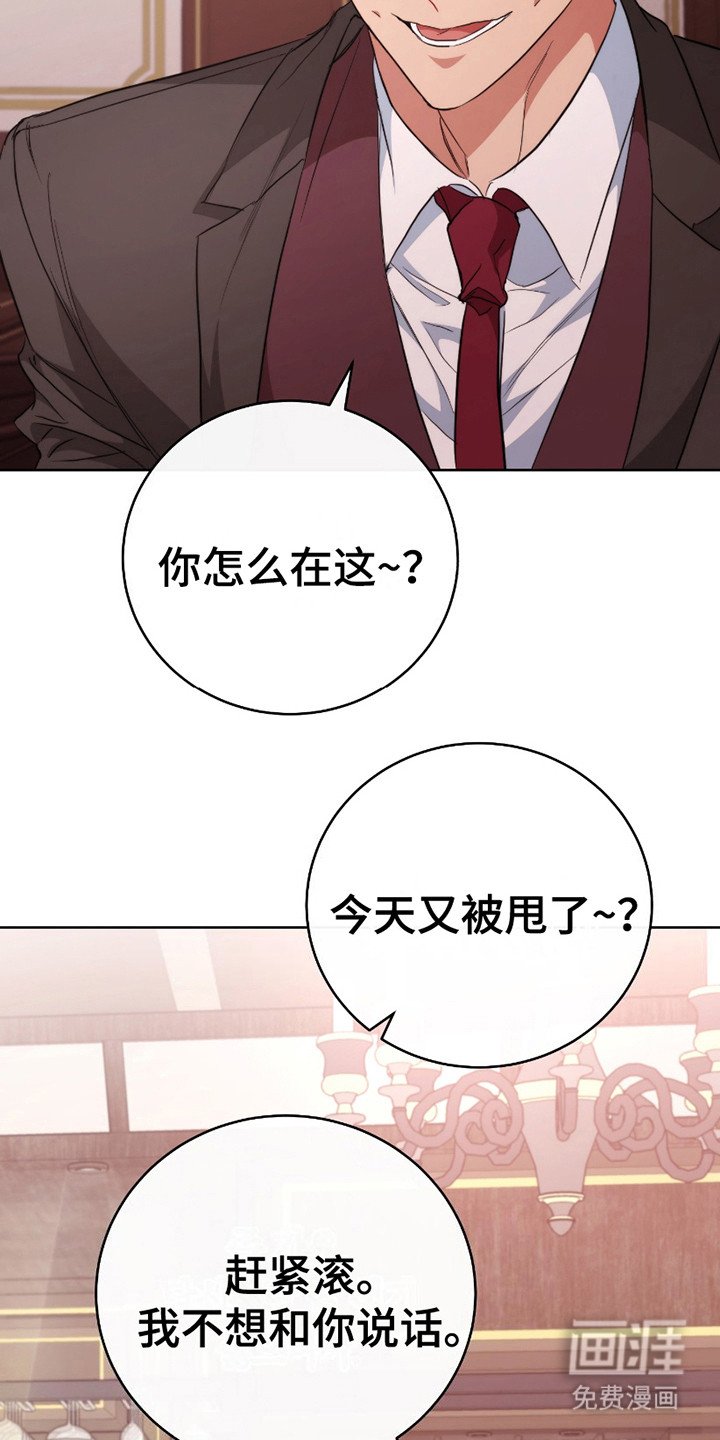 第14章：再次见面