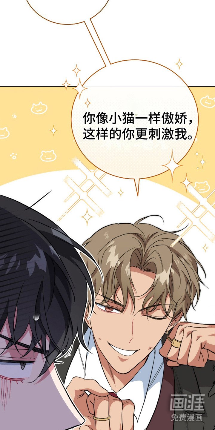 第14章：再次见面