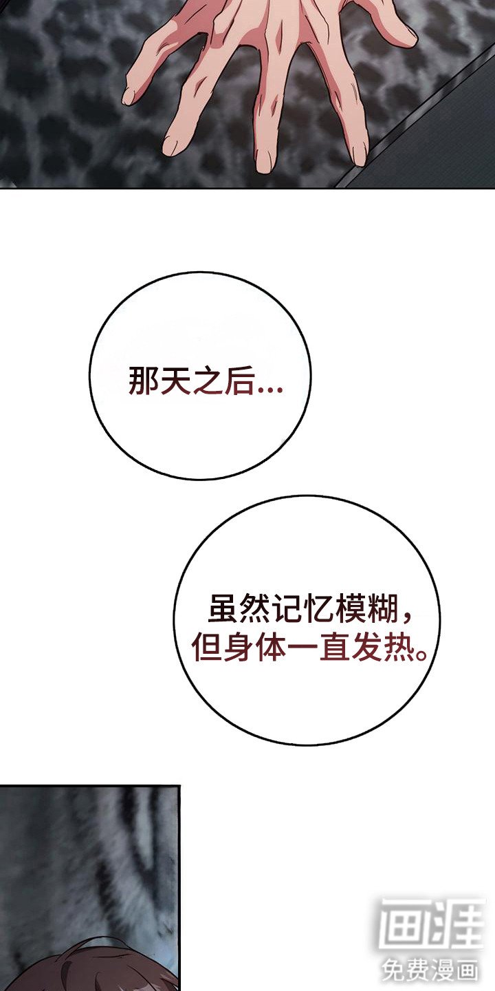 第29章：美梦成真（完结）