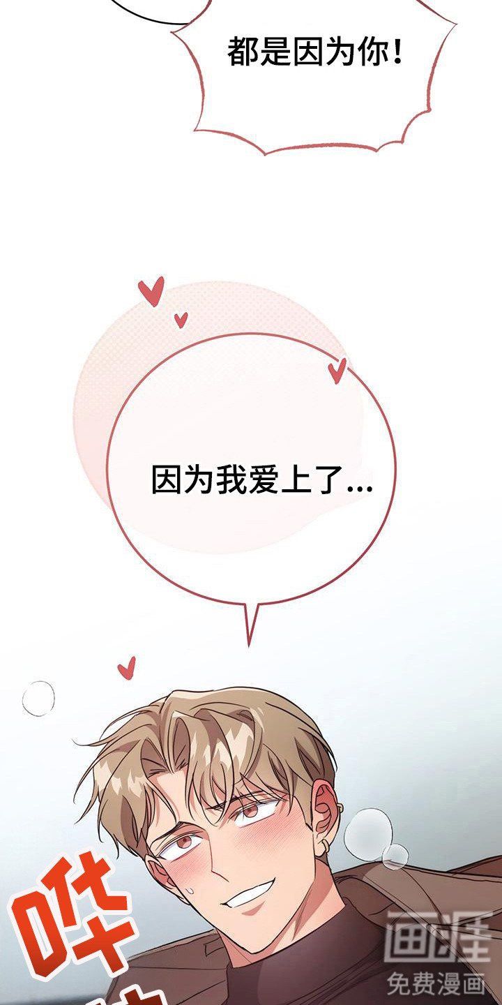 第29章：美梦成真（完结）