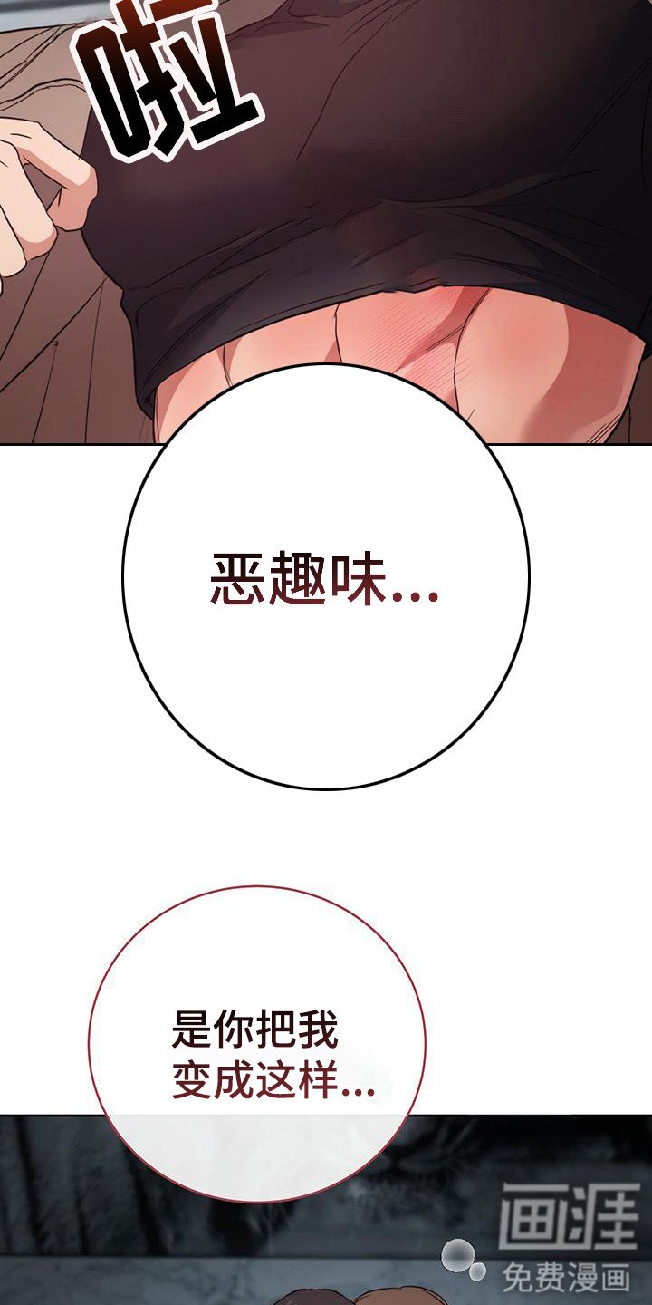 第29章：美梦成真（完结）