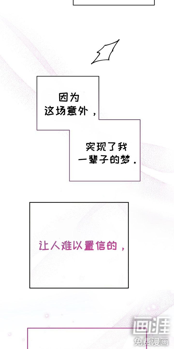 第29章：美梦成真（完结）