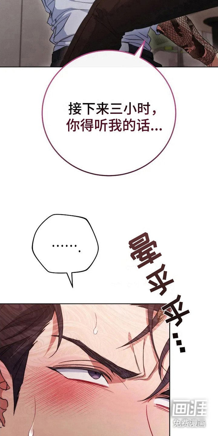 第5章：命令