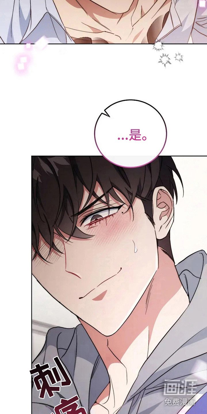 第5章：命令