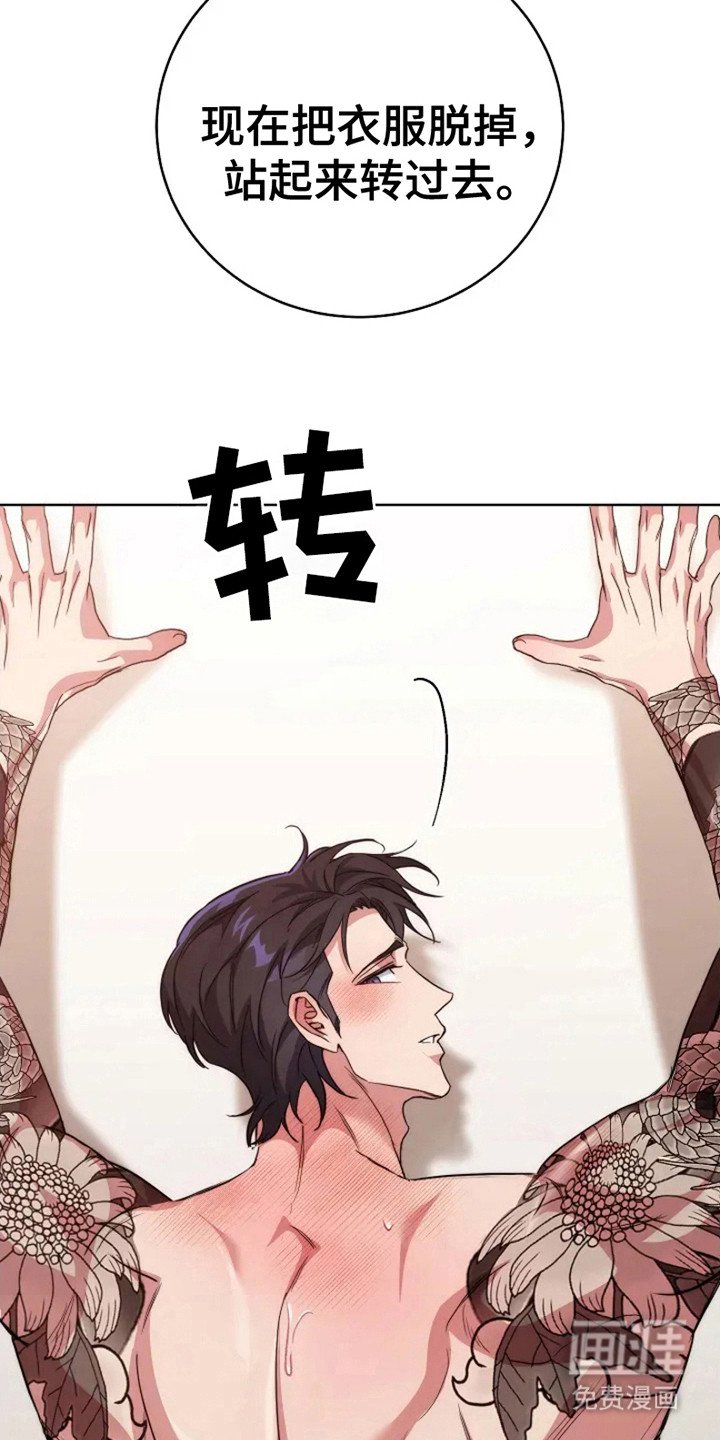 第5章：命令