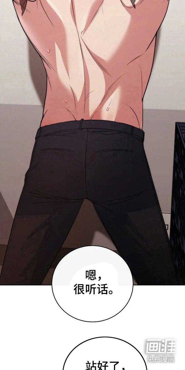 第5章：命令