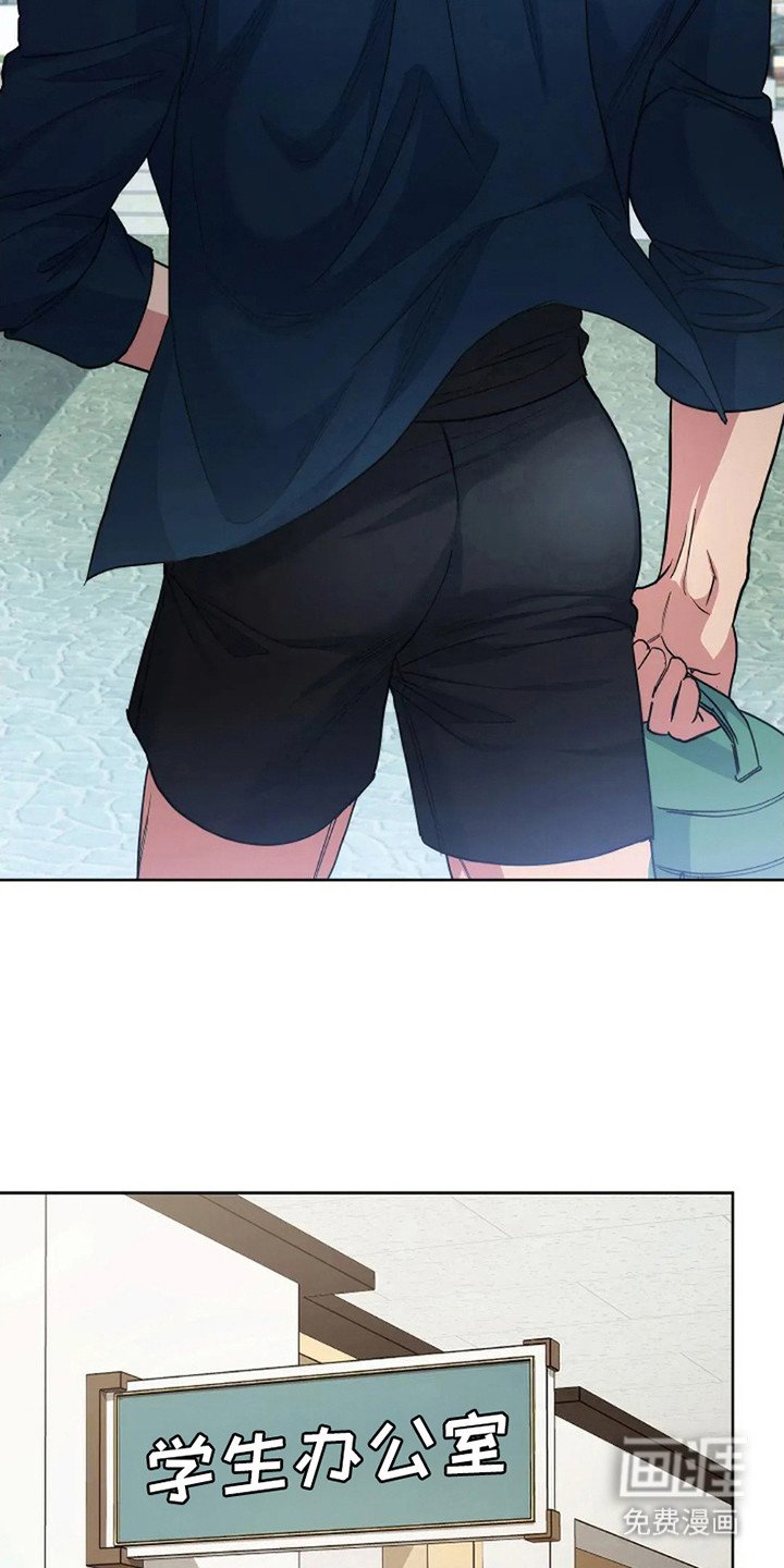第9章：直觉