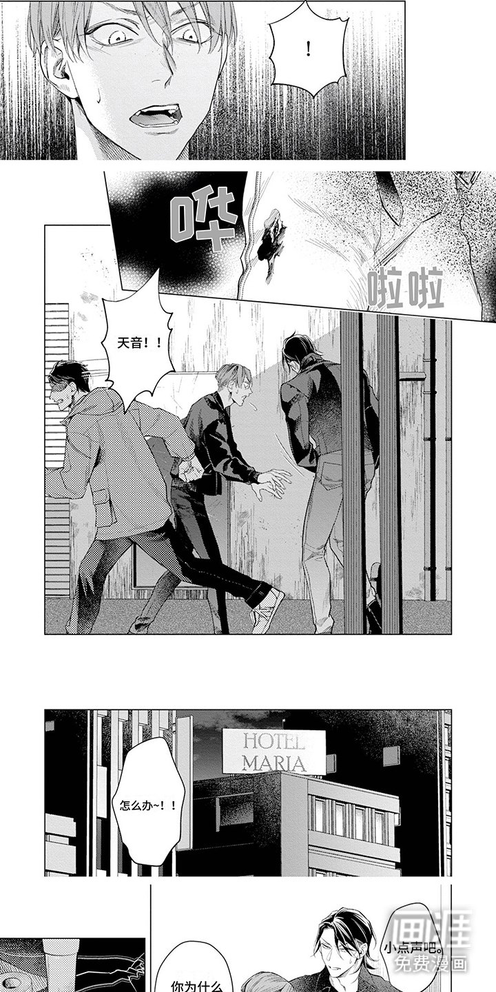 第11章：没个度
