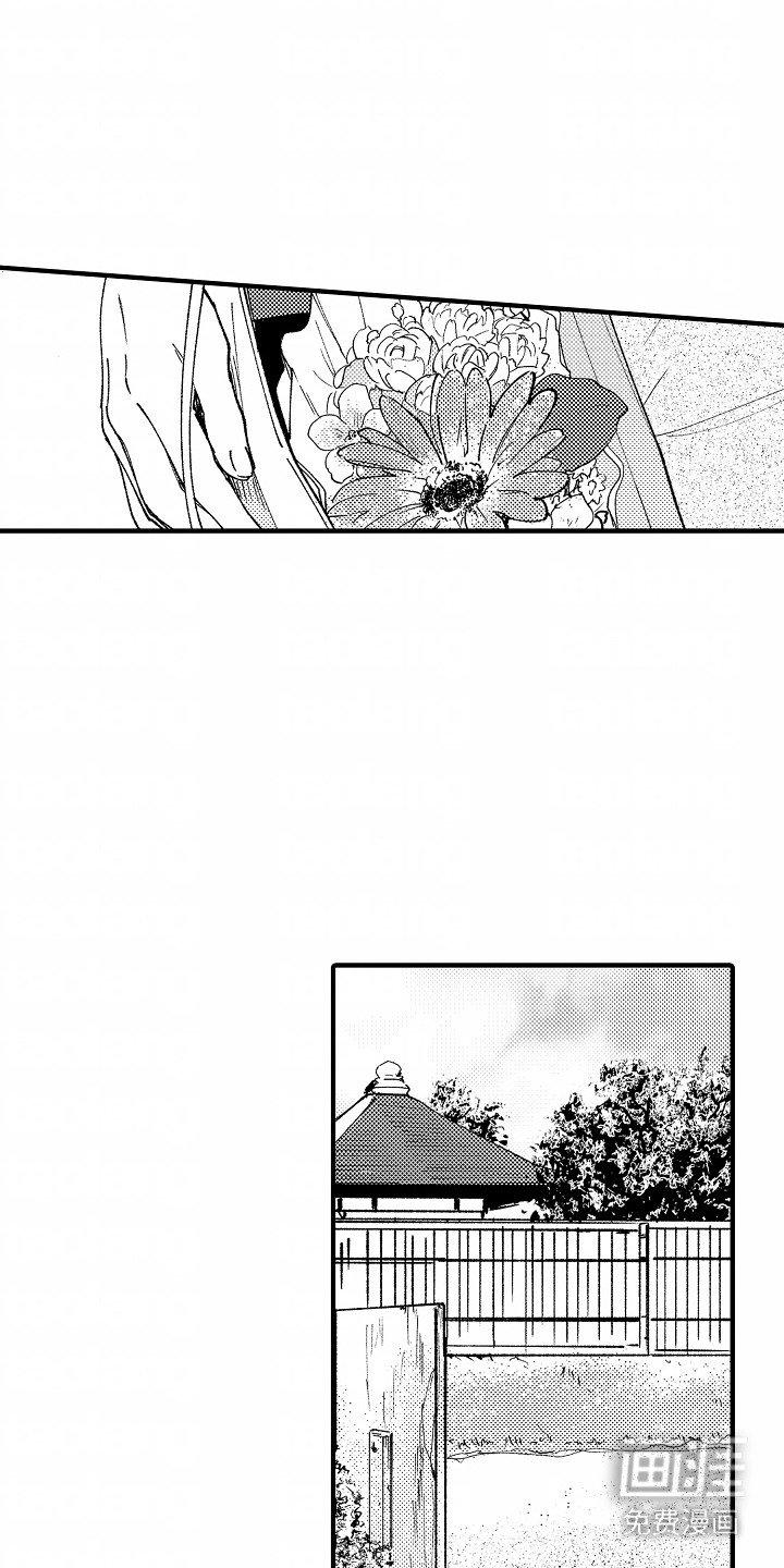 第17章：伴手礼