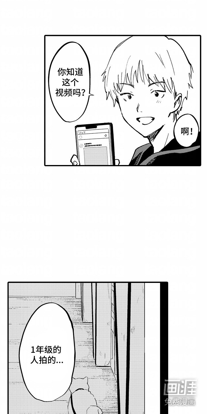 第2章：人气视频
